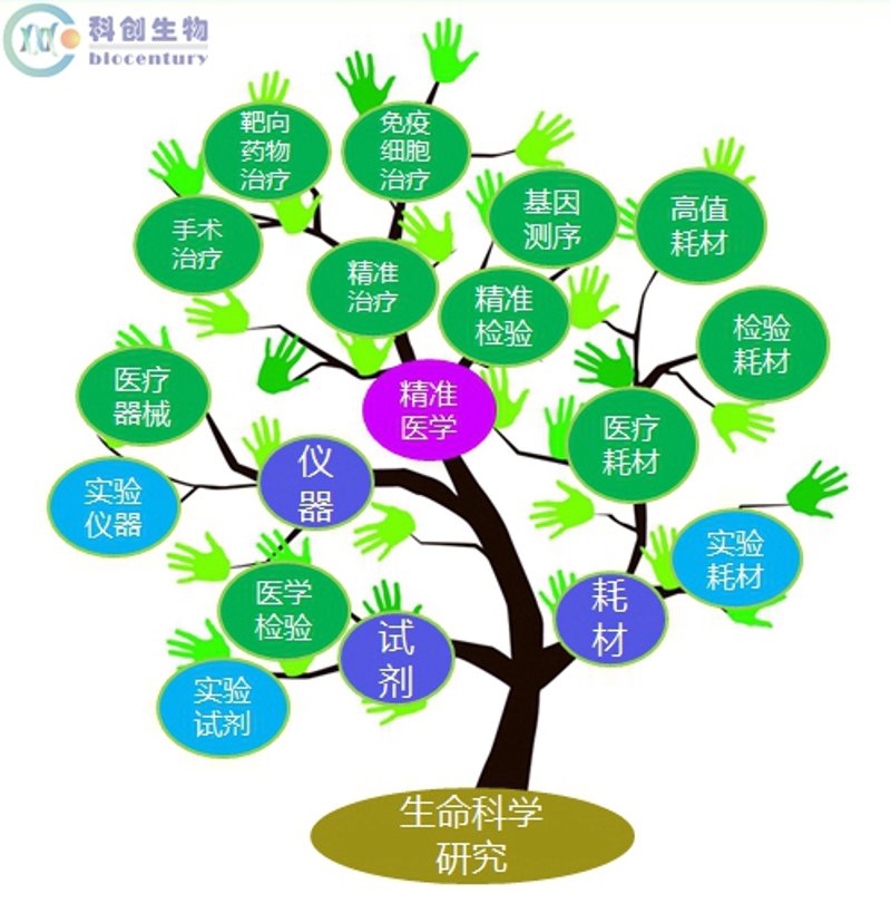 细胞治疗技术:开启医疗新时代